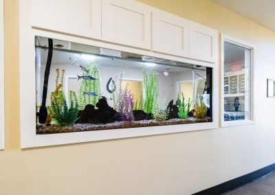 A fish tank in the lobby at the American River Center